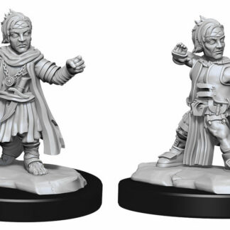 Pathfinder Deep Cuts - Halfling Male Monk W15