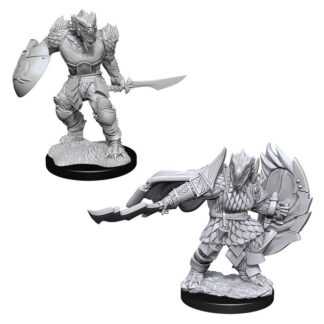 D&D Nolzur's - Dragonborn Fighter Male W15