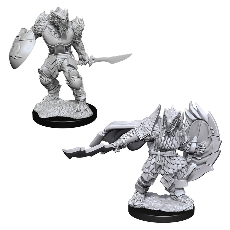 D&D Nolzur's - Dragonborn Fighter Male W15