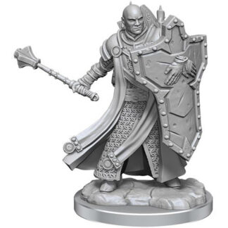 D&D Frameworks: W1 Male Human Cleric