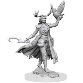 D&D Frameworks: W1 Female Human Druid