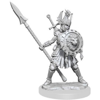 D&D Frameworks: W1 Female Human Fighter