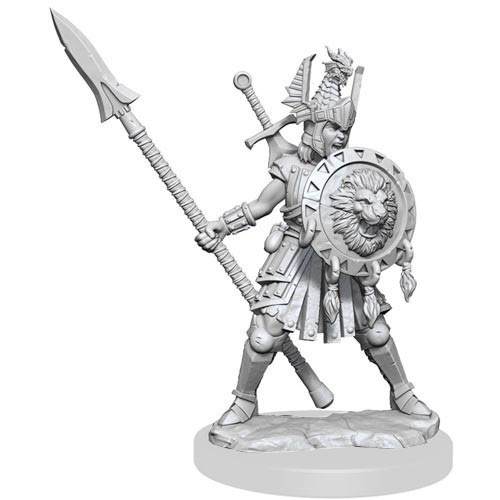 D&D Frameworks: W1 Female Human Fighter
