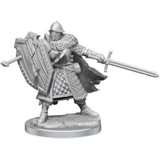 D&D Frameworks: W1 Male Human Fighter