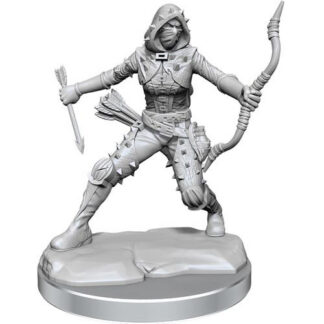 D&D Frameworks: W1 Female Human Rogue
