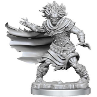 D&D Frameworks: W1 Wight