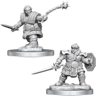 D&D Nolzur's - W16 Female Dwarf Fighter