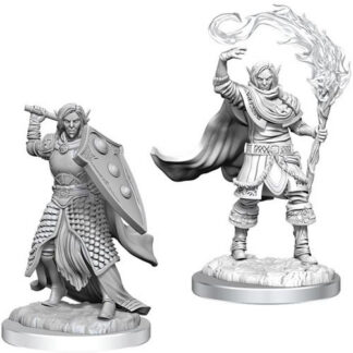 D&D Nolzur's - W16 Male Elf Cleric