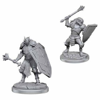 D&D Nolzur's - W18 Dragonborn Clerics