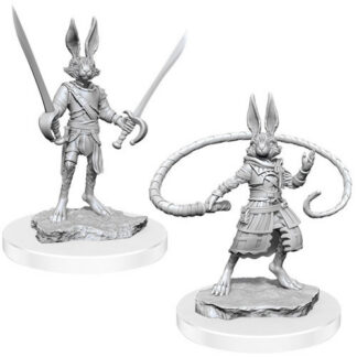 D&D Nolzur's - Harengon Rogues W17