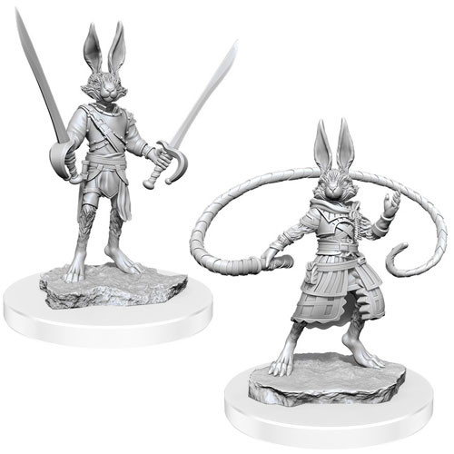 D&D Nolzur's - Harengon Rogues W17