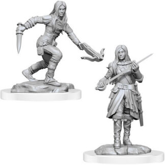 D&D Nolzur's - Female Half-Elf Rogues W17