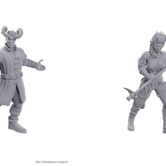 D&D Nolzur's - Baldur's Gate 3 - Wyll & Karlach