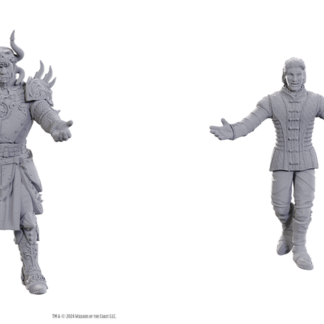D&D Nolzur's - BG3 - Sarevok Anchev & Raphael